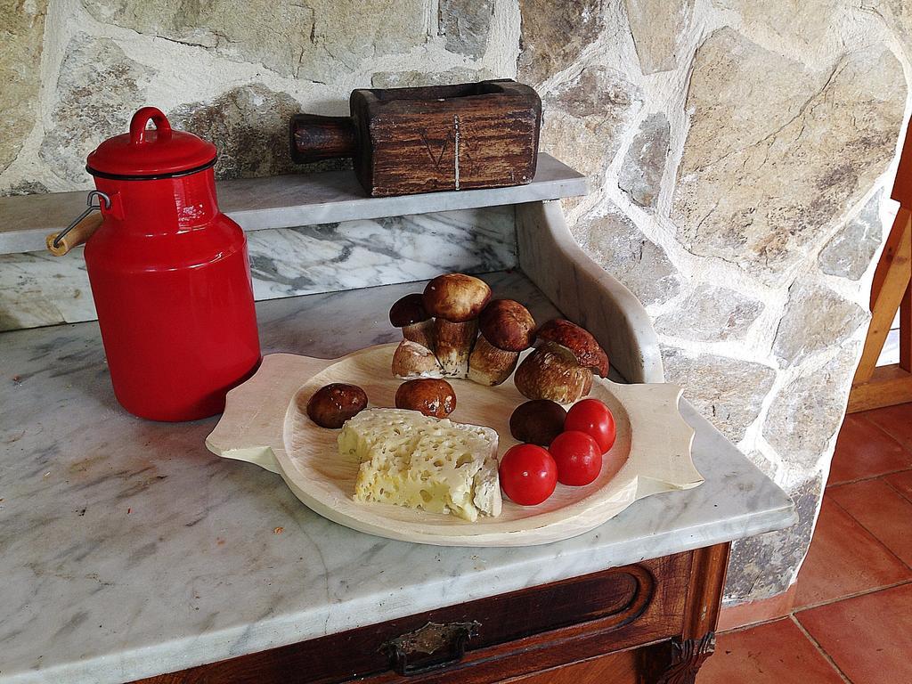 Gasthaus Maria Borlova المظهر الخارجي الصورة