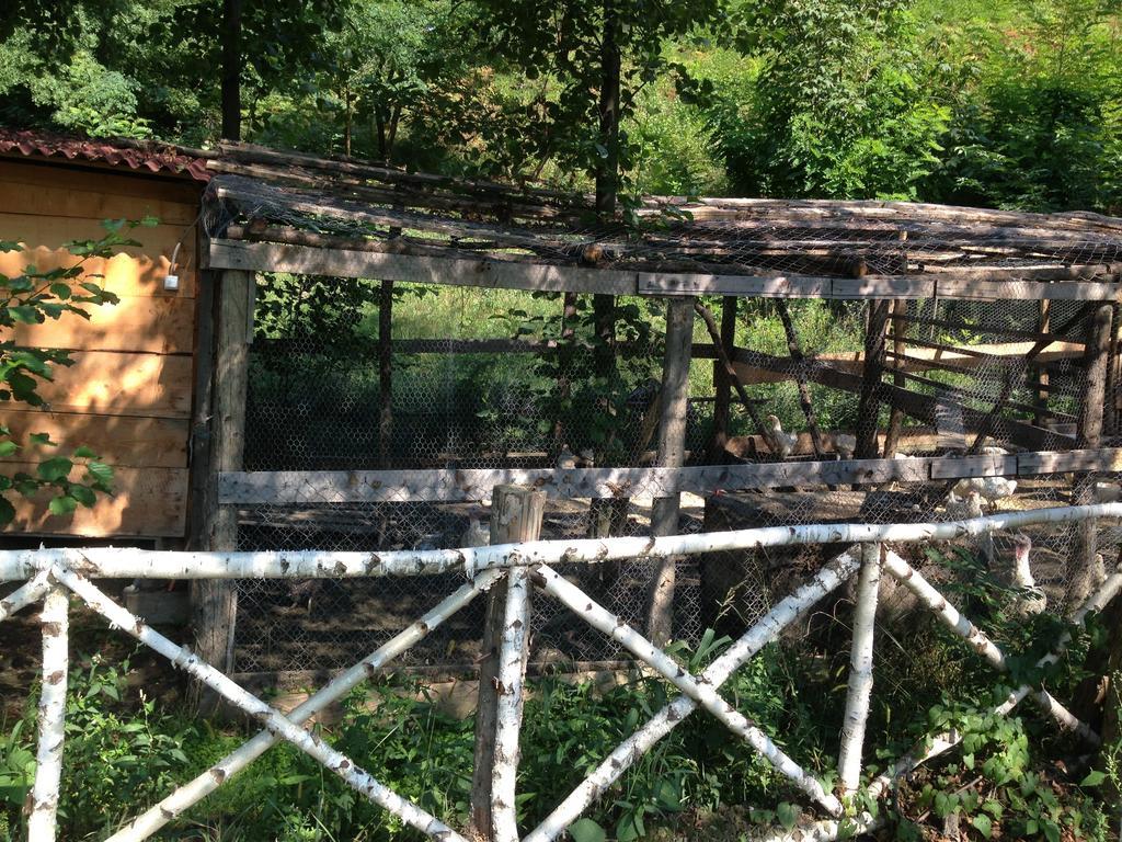 Gasthaus Maria Borlova المظهر الخارجي الصورة