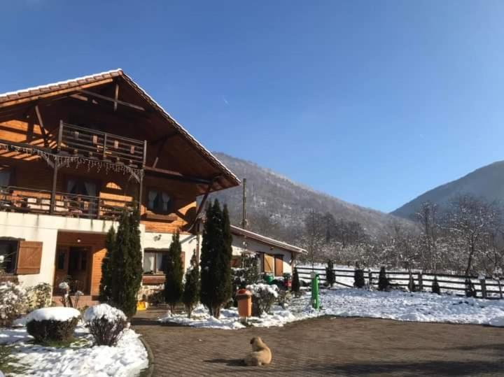 Gasthaus Maria Borlova المظهر الخارجي الصورة