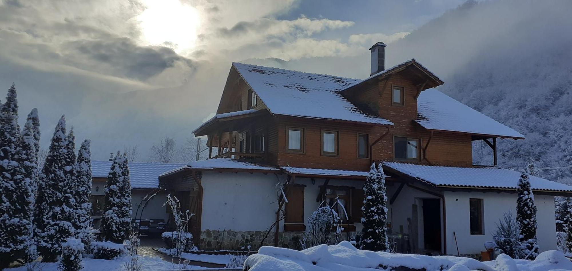 Gasthaus Maria Borlova المظهر الخارجي الصورة