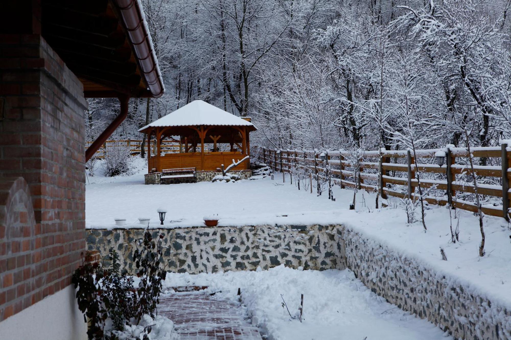 Gasthaus Maria Borlova المظهر الخارجي الصورة