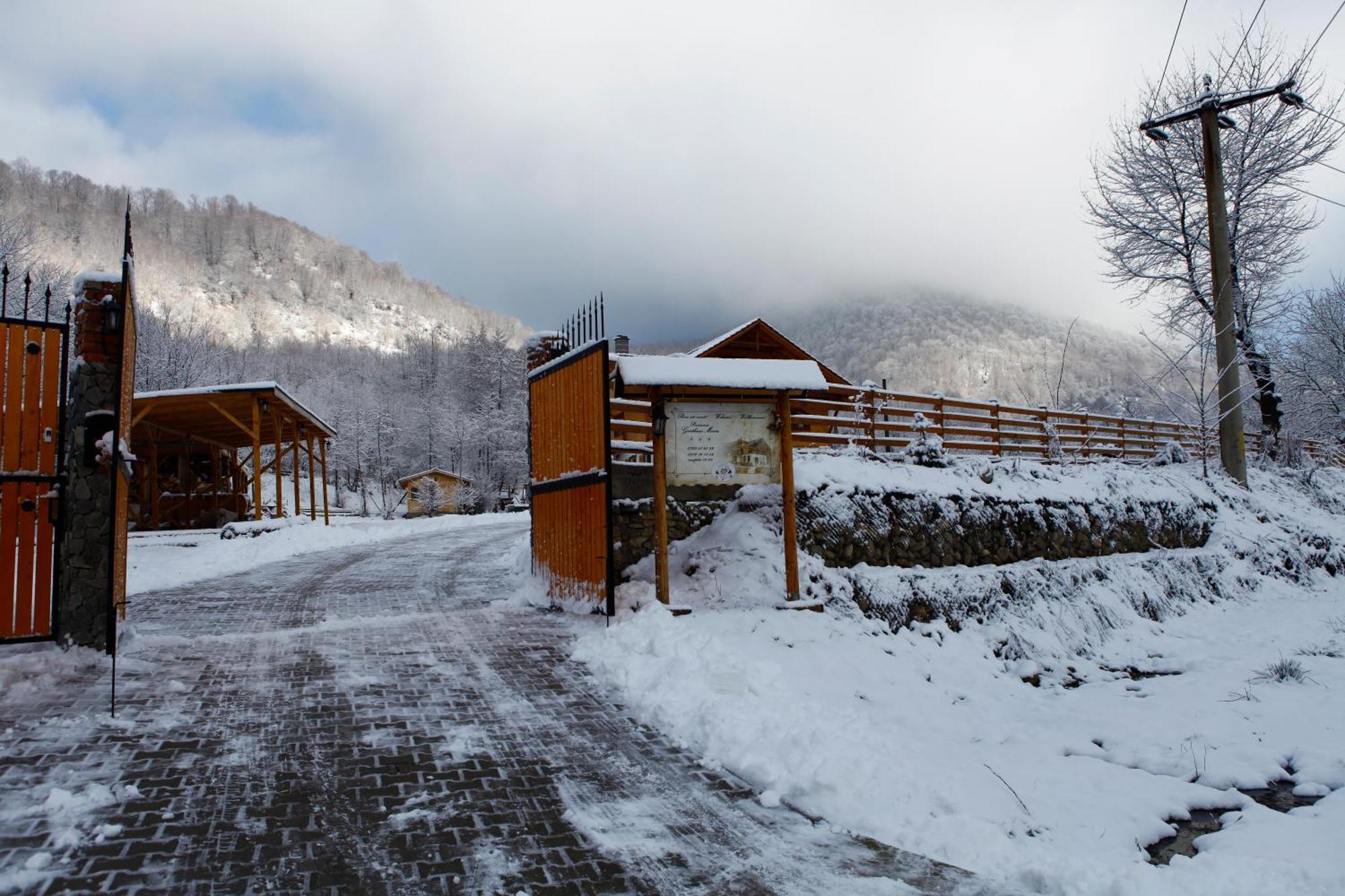 Gasthaus Maria Borlova المظهر الخارجي الصورة