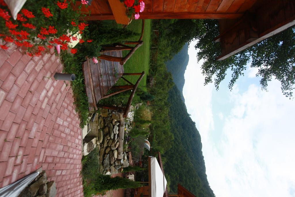 Gasthaus Maria Borlova المظهر الخارجي الصورة