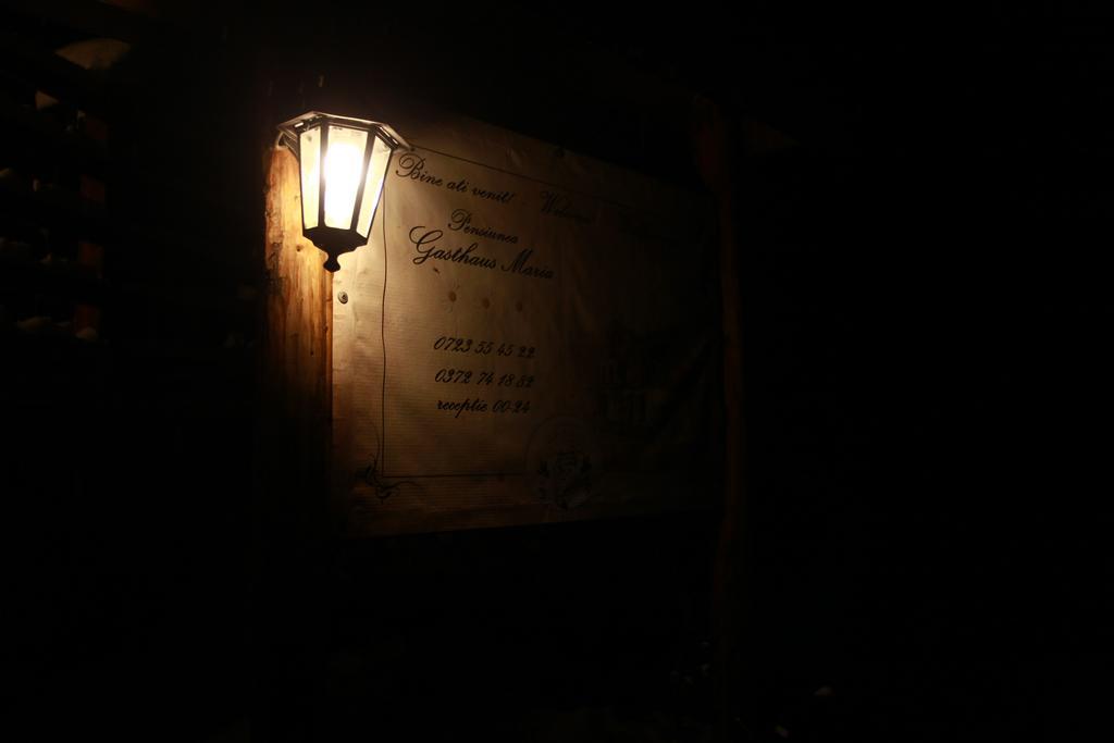 Gasthaus Maria Borlova المظهر الخارجي الصورة