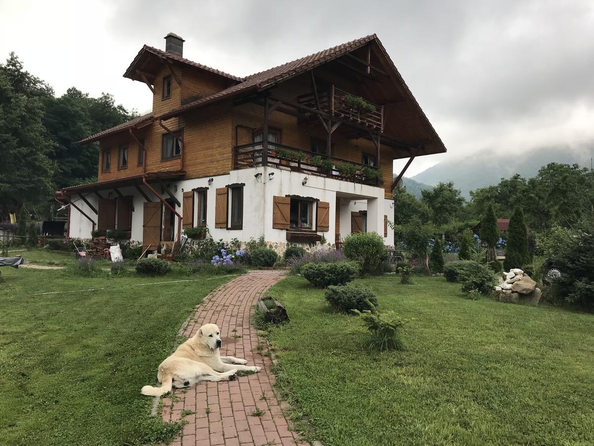 Gasthaus Maria Borlova المظهر الخارجي الصورة